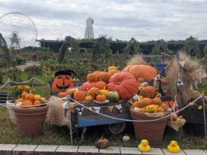 秋の遠足(年長組)万博記念公園🍂